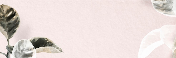 Free Photo rubber plant border pink banner background