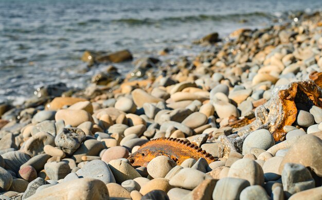 Rubbish on a clean wild beach, pollution of nature with industrial waste and other rubbish on the seashore. Selective focus. Dumping garbage into the ocean. Ecological concept, top view