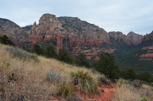 Free photo rugged hiking path into red rock formations