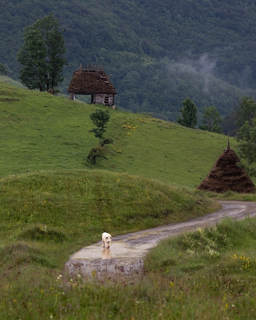Rural countryside landscape in Dumesti, Transylvania region of Romania