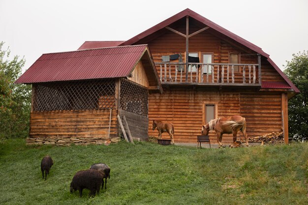 Rural house surroundings in daylight