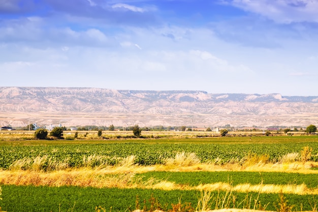 Rural landscape in  Aragon
