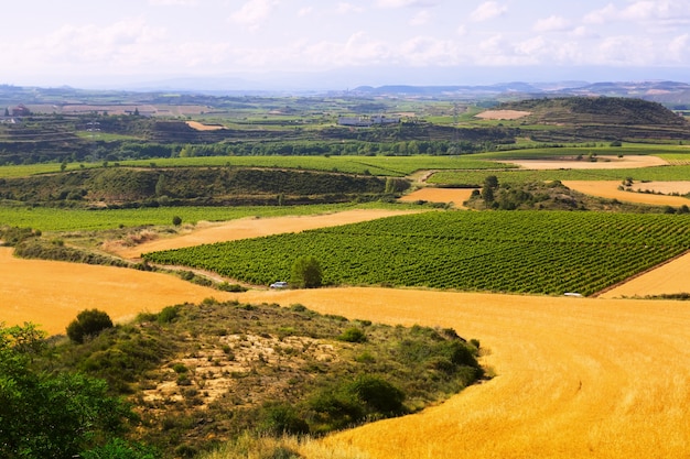 Rural landscape in summer. La Rioja