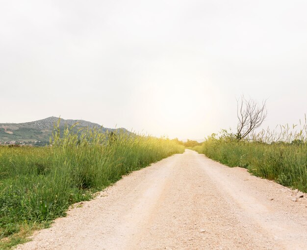 Rural landscape with country road