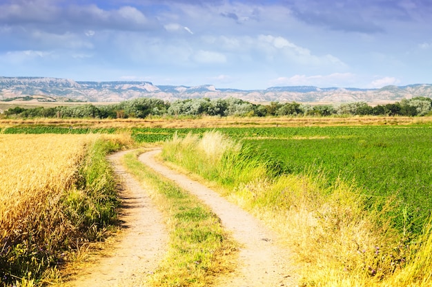 Rural landscape with fields. Aragon