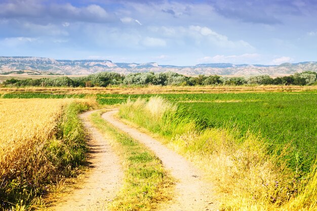 Rural landscape with fields. Aragon