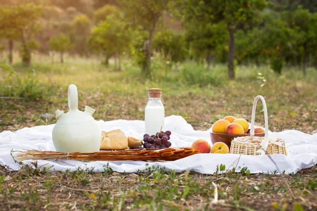 Rural life concept with picnic outdoors