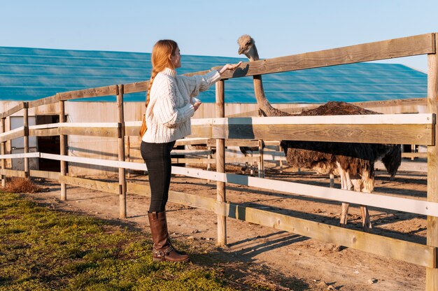 Rural life lifestyle growing ostriches