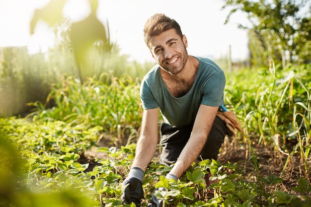 Rural morning. Close up of beautiful bearded caucasian male farmer in blue t-shirt and black pants smiling, working on farm, picking crop, doing favorite job.