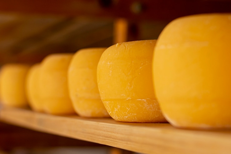 Free Photo rustic cheese wheels on a shelf