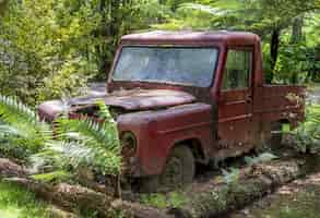 Бесплатное фото Ржавый красный автомобиль, лежащий заброшенным в лесу в окружении деревьев