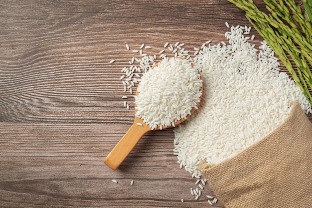 Sack of rice with rice on wooden spoon and rice plant