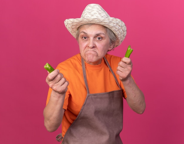 Sad elderly female gardener wearing gardening hat holding parts of broken hot pepper isolated on pink wall with copy space