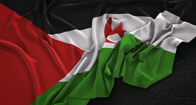 Sahrawi arab democratic republic flag wrinkled on dark background 3d render