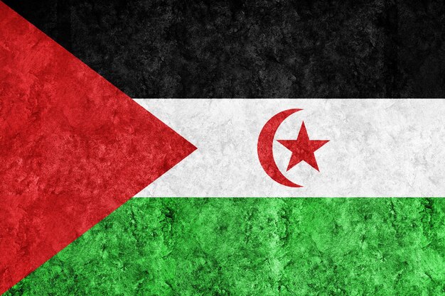 Sahrawi Arab Democratic Republic Metallic flag, Textured flag, grunge flag