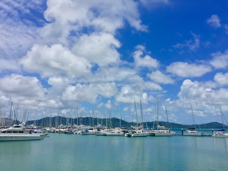 Free Photo sailboat harbor, many beautiful moored sail yachts in the sea port
