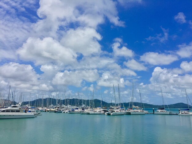 Sailboat harbor, many beautiful moored sail yachts in the sea port