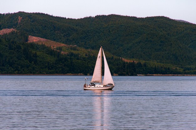 Sailboat sailing in a beautiful river with a forest on a steep hill