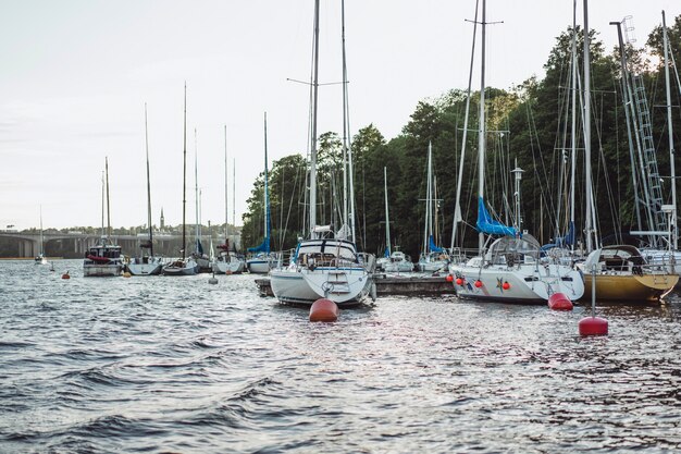 sailing boats and yachts on the pier in Stockholm front of the city center