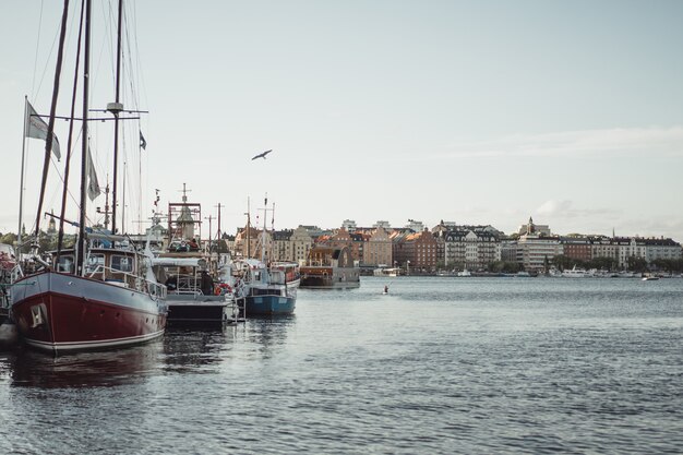 Парусные лодки и яхты на пристани в Стокгольме напротив центра города
