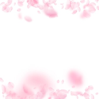떨어지는 벚꽃 꽃잎. 로맨틱 핑크 꽃 테두리입니다. 흰색 사각형 배경에 비행 꽃잎입니다. 사랑, 로맨스 개념입니다. 최적의 청첩장.