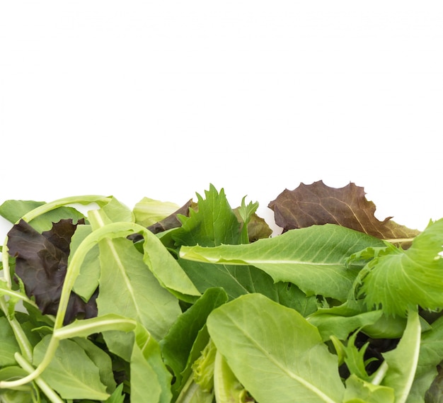 Бесплатное фото Салатная смесь с руколой, фризе, радиккио и салатом ягненка