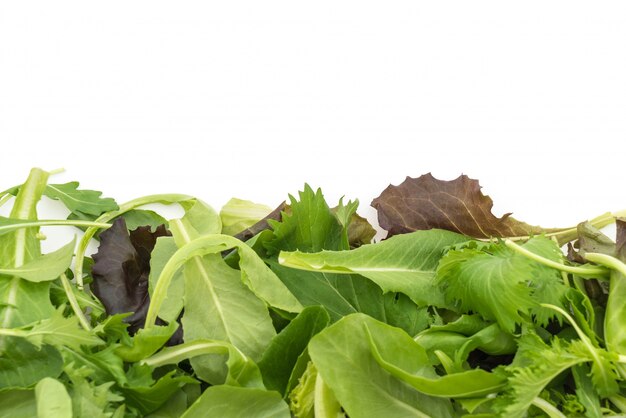 Salad mix with rucola, frisee, radicchio and lamb's lettuce