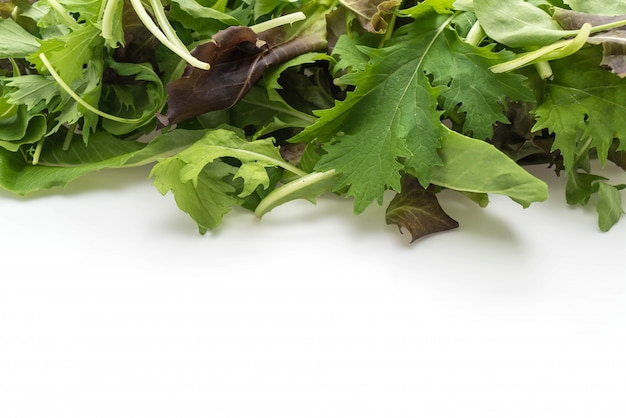 Salad mix with rucola, frisee, radicchio and lamb's lettuce