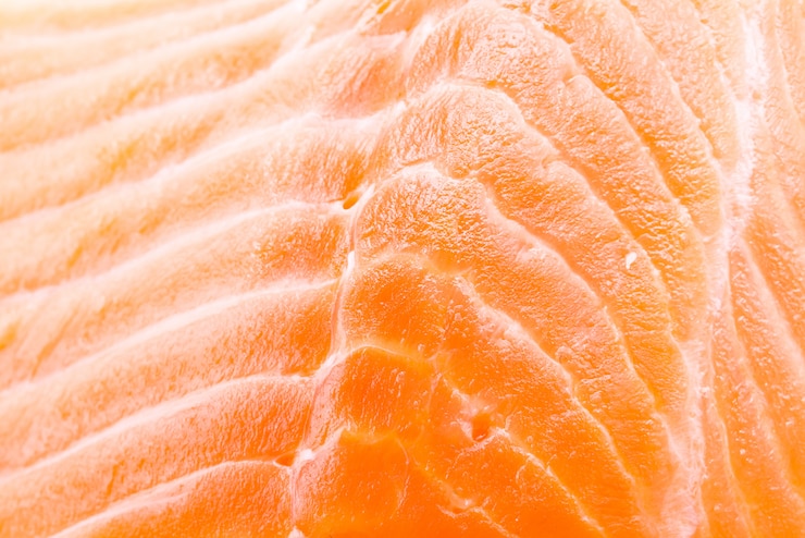 Free Photo salmon meat background