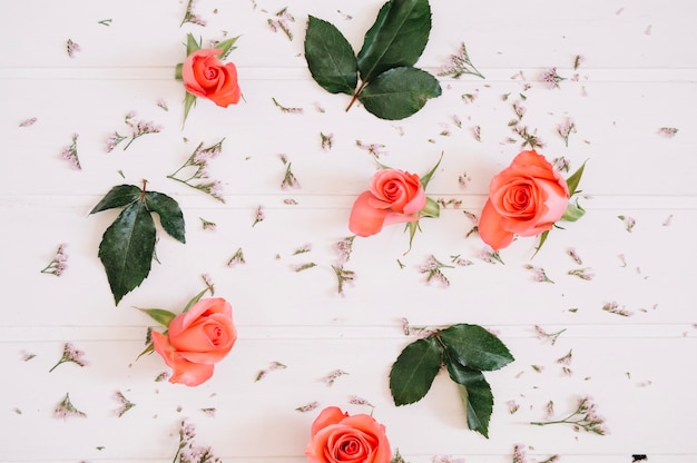 Salmon roses and green leaves on white wooden table