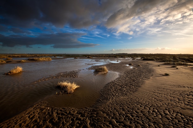Соленые болота и плоская грязь под облачным небом в Кваде-Хук, Нидерланды