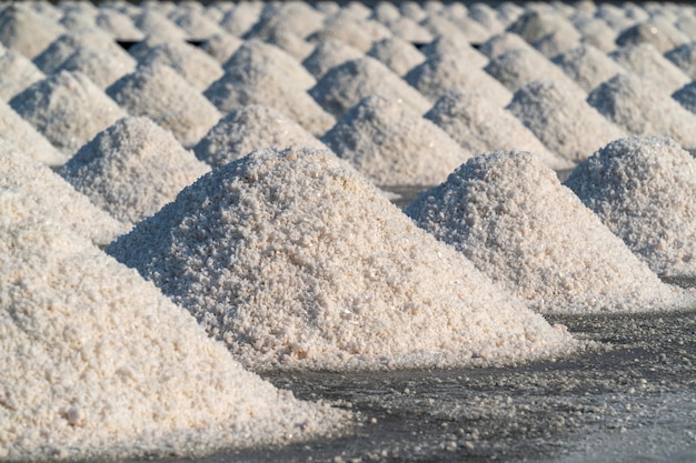 Free photo salt in salt farm ready for harvest, thailand