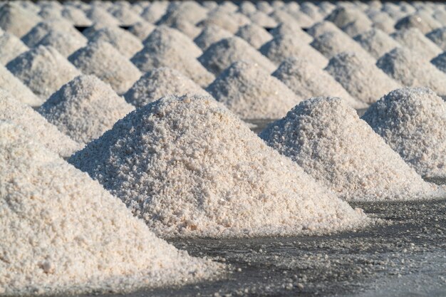 Salt in salt farm ready for harvest, Thailand