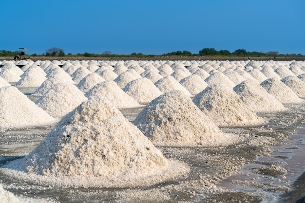 収穫の準備ができている塩農場の塩、タイ