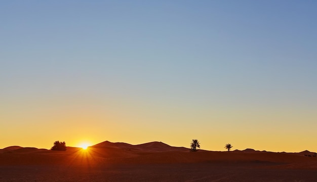 Sand dunes in the Sahara Desert Morocco