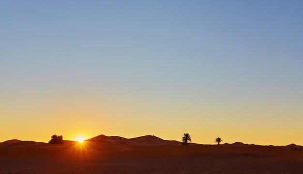 モロッコのサハラ砂漠の砂丘