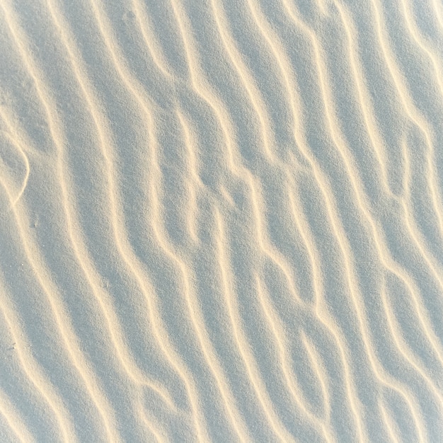 砂空の走行空間の海岸