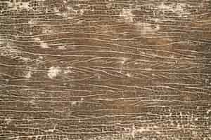Free photo sand material background brown texture