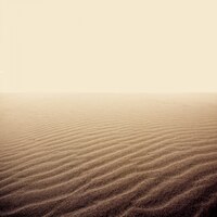 sand on the dry desert.