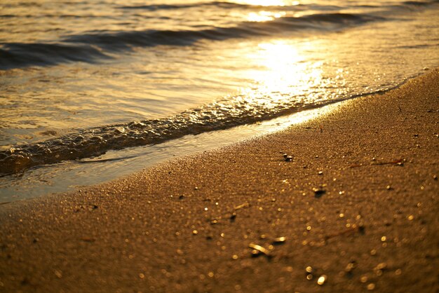 모래와 바다