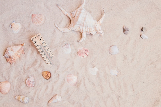 Foto gratuita superficie di sabbia con conchiglie e termometro