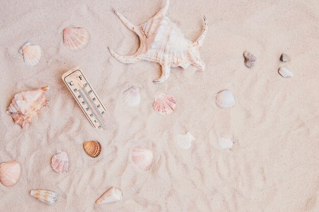 Sand surface with seashells and thermometer