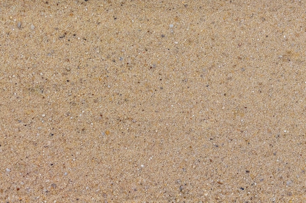 작은 자갈이 있는 모래 질감. 디자인 배경_ 프리미엄 사진