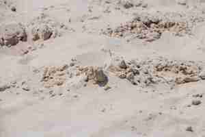 Free photo sand with lumps