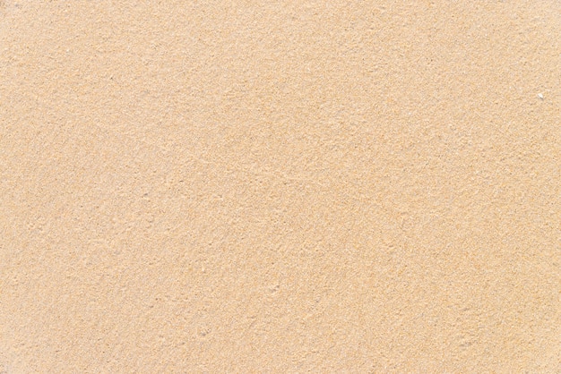 모래