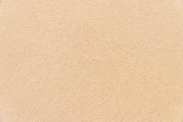 모래