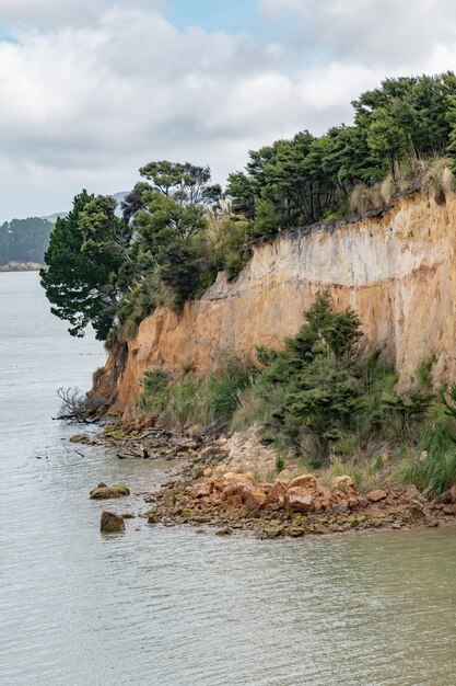 Sandstone cliff with trees at Kaipara