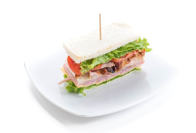 sandwich on white background