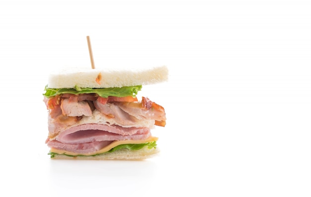 sandwich on white background