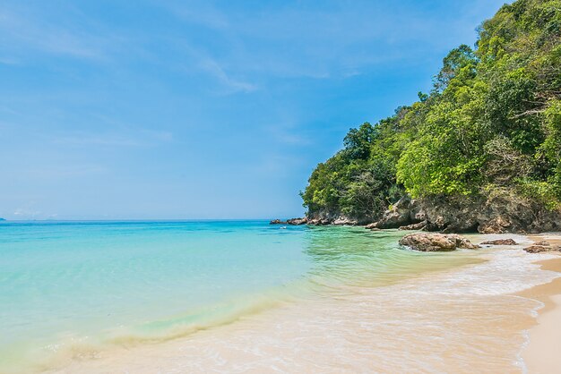 Sandy beach with rocks and trees